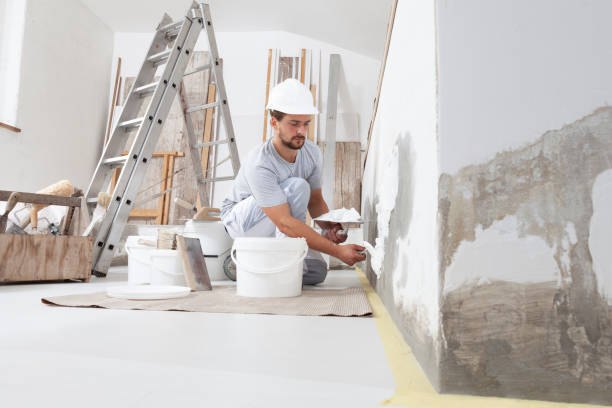 Best Repainting for Renovations  in Silver Hill, MD